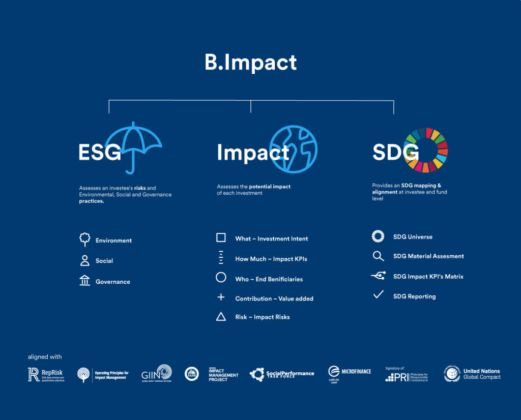 Hierarchische Infografik für das Framework des Impact Investement Managers BlueOrchard