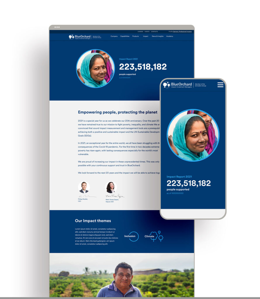 Vorschau für responsives Design für einen Online-Impact Report (Jahresbericht)