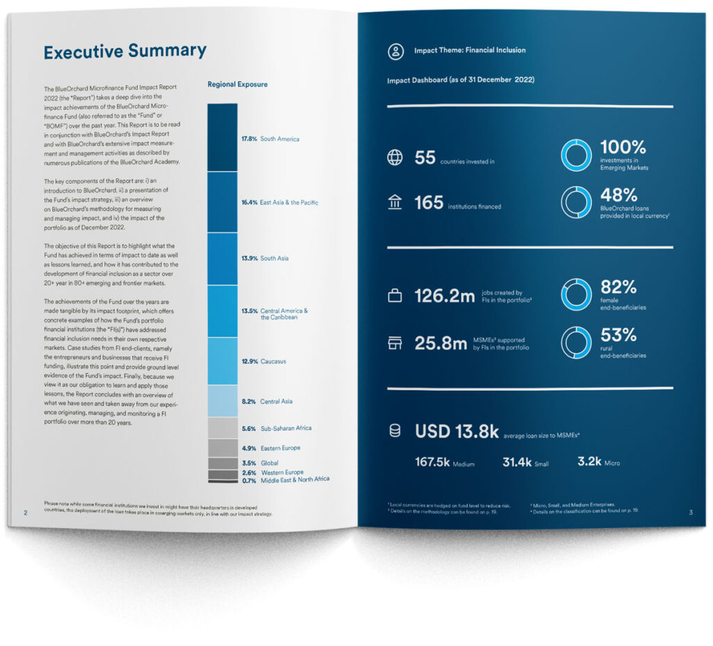 Grafikdesign und Infografik für Jahresbericht – Impact Investment Fund: Neben Text highlighten Piktogramme, Zahlen und Diagramme die Erfolge des Mikrokreditfonds.