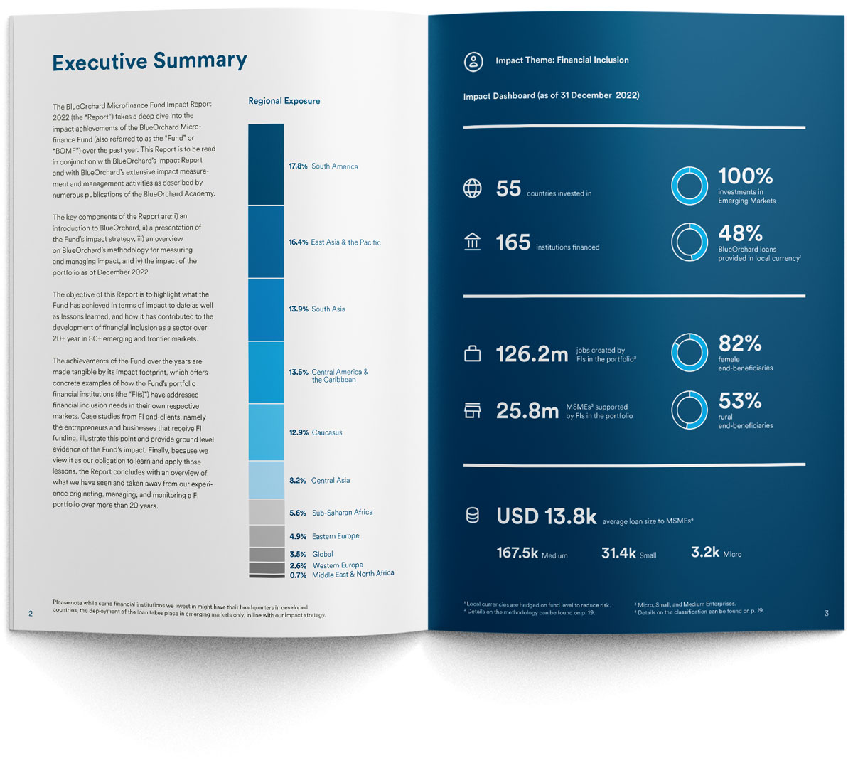 Grafikdesign und Infografik für Jahresbericht – Impact Investment Fund: Neben Text highlighten Piktogramme, Zahlen und Diagramme die Erfolge des Mikrokreditfonds.