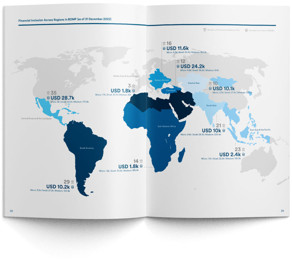 Infografik für Impact Report: Auf einer Weltkarte sind Länder, in denen Mikrokredite vergeben werden, wie viele Mikrokreditinstitute jeweilsim Land vertreten sind und wie viele US Dollar an Mikrokredite vergeben wurden.