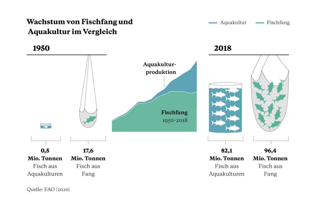 Infografik zum Wachstum von Fischfang und Aquakultur im Vergleich