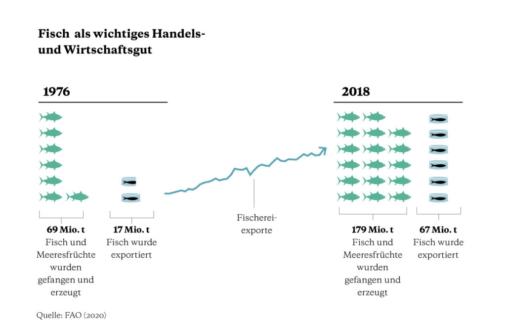 Infografik zu Fisch und Meeresfrüchten als globales Wirtschafts- und Handelsgut: Produktion und Export sind in den letzten 70 Jahren deutlich gestiegen.